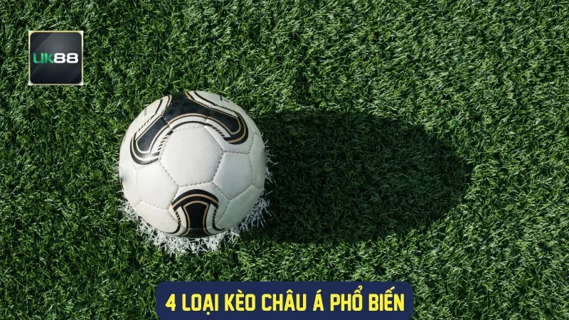 Soi Kèo Châu Á: Hướng Dẫn Đầy Đủ Cho Người Chơi 2 4 loại kèo châu Á phổ biến